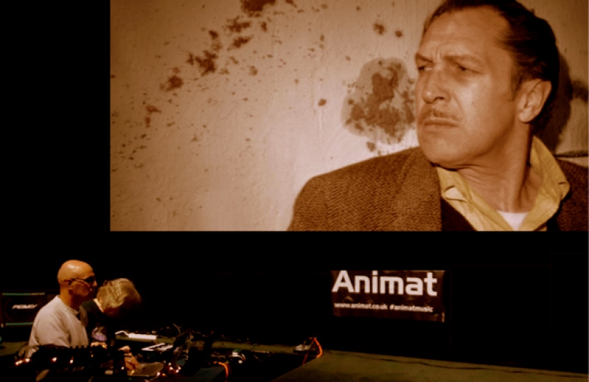 Animat perform The Last Man On Earth