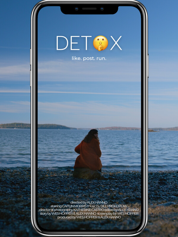 A poster for the film Detox, in which a woman is sitting on a rock by a body of water, the sky blue beyond her, though she looks over her shoulder. The image is framed by the shape of a mobile phone.