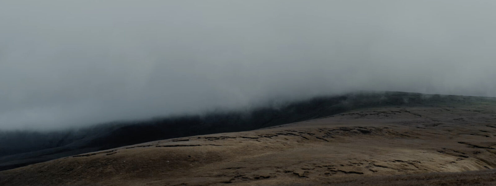 A moor with fog