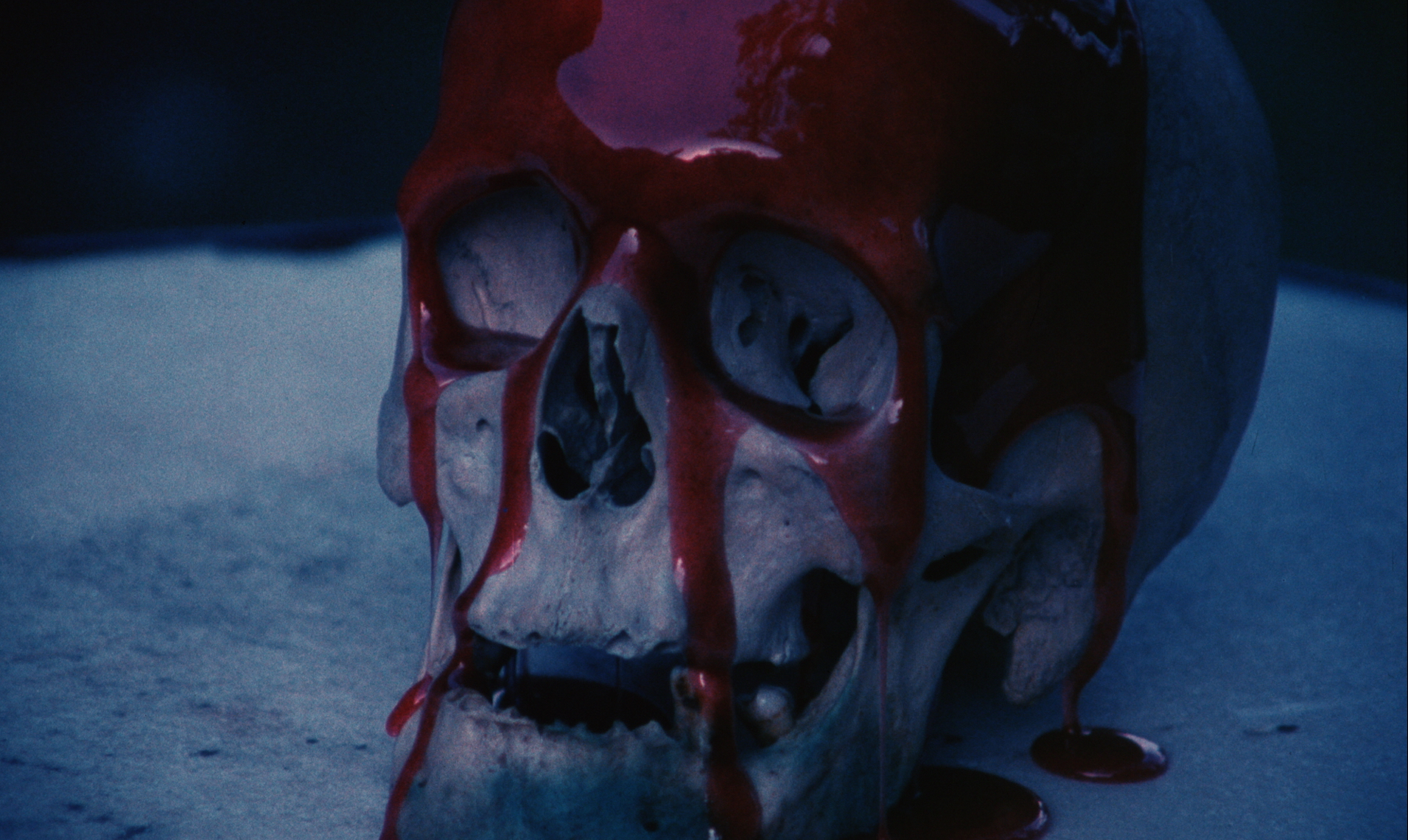 Blood covered skull